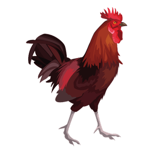 el gall