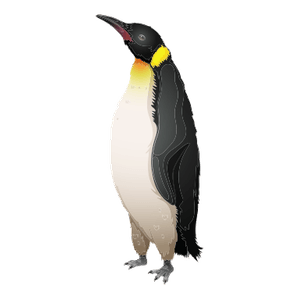 el pingüí