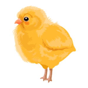 el pollet
