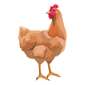 la gallina