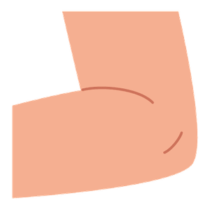 el colze
