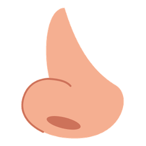 el nas