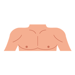 el pit