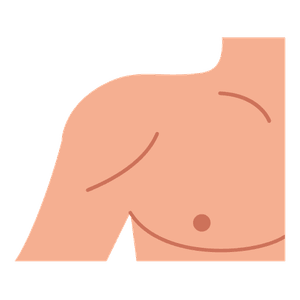 l'espatlla