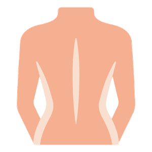 l'esquena