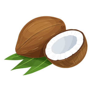 el coco