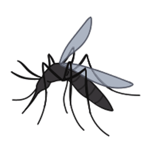 el mosquit