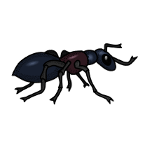 la formiga