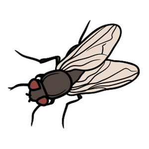 la mosca