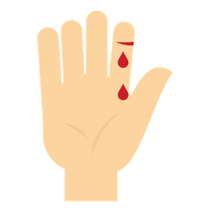 ferida