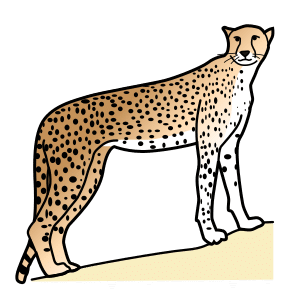 el guepard