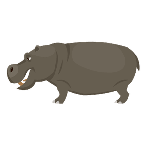 l'hipopòtam