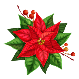 la flor de Nadal