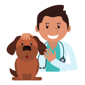 el veterinari
