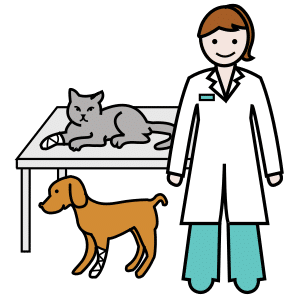 la veterinària
