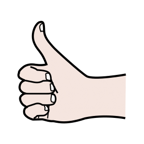 Bé