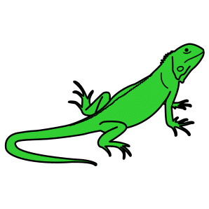 la iguana