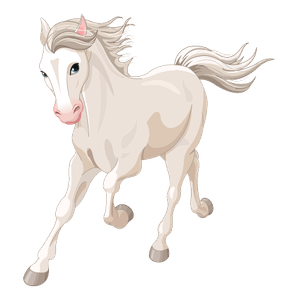 cavall