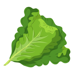 l'enciam