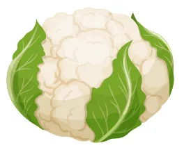 coliflor