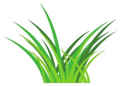 herba