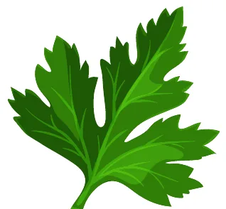 julivert