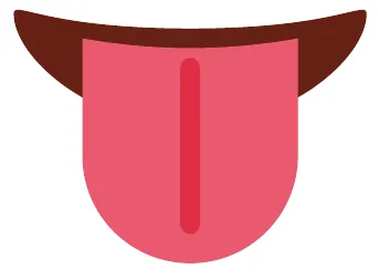llengua