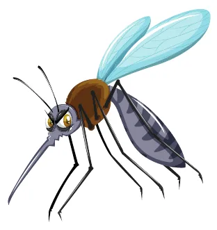 mosquit