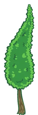 xiprer