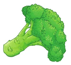 bròquil
