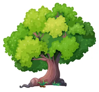 arbre