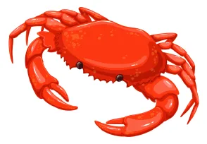 cranc