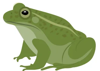 gripau