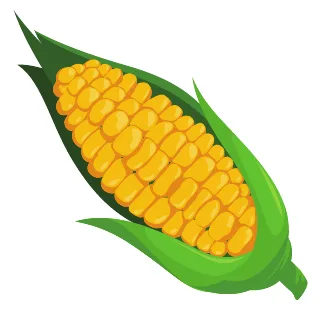 panotxa
